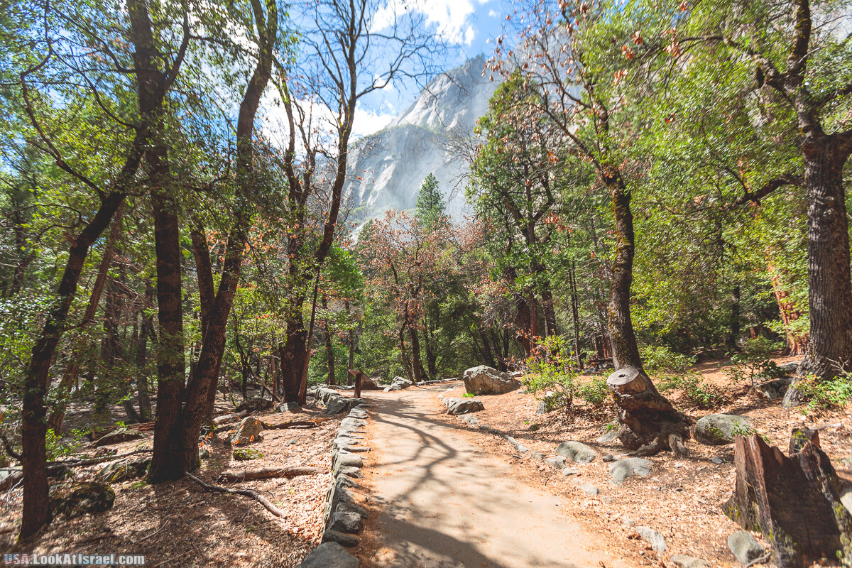 Национальный парк Йосемите | Yosemite National Park | LookAtIsrael.com - Фото путешествия по Израилю