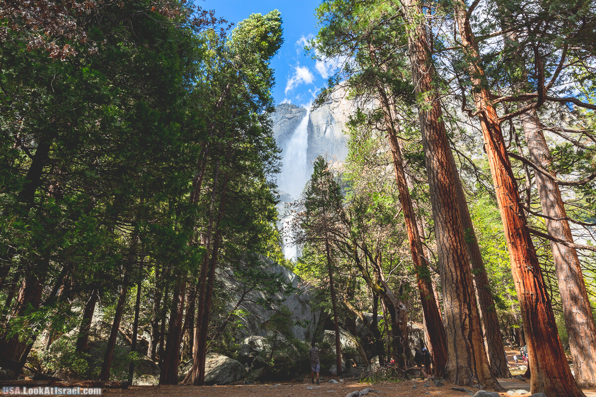 Национальный парк Йосемите | Yosemite National Park | LookAtIsrael.com - Фото путешествия по Израилю