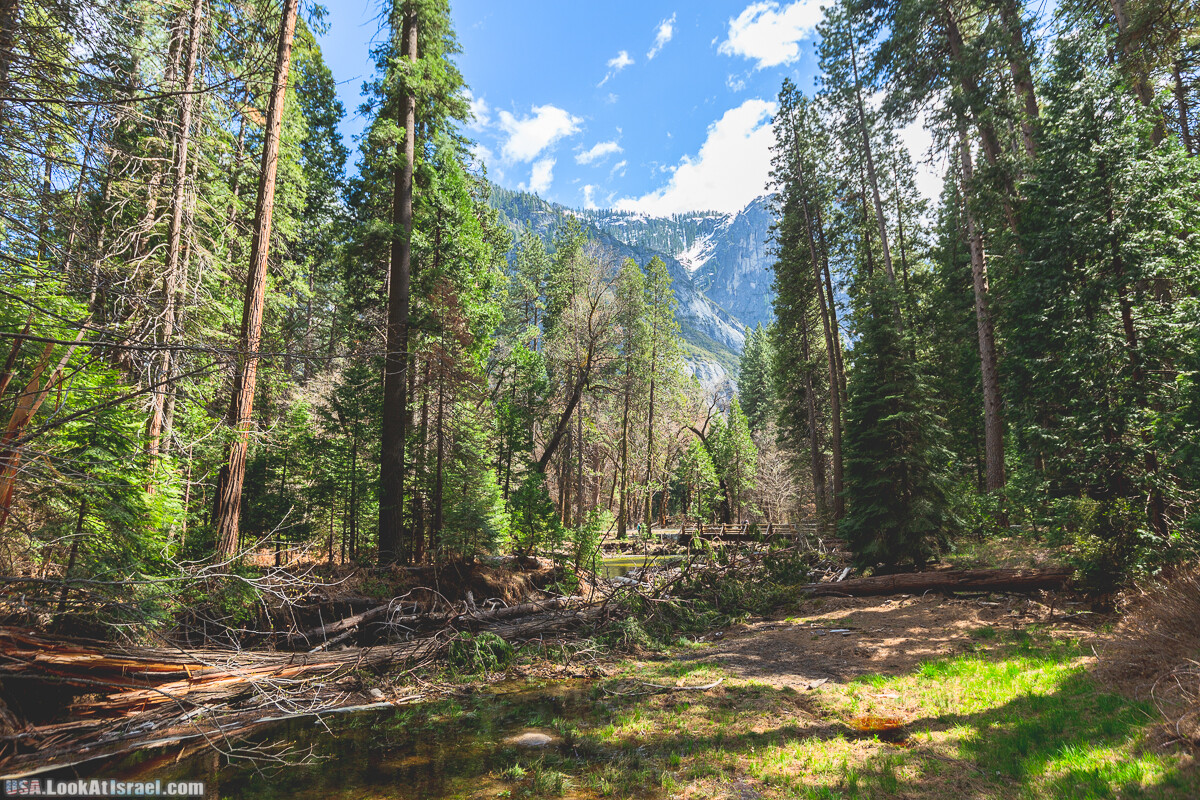 Национальный парк Йосемите | Yosemite National Park | LookAtIsrael.com - Фото путешествия по Израилю