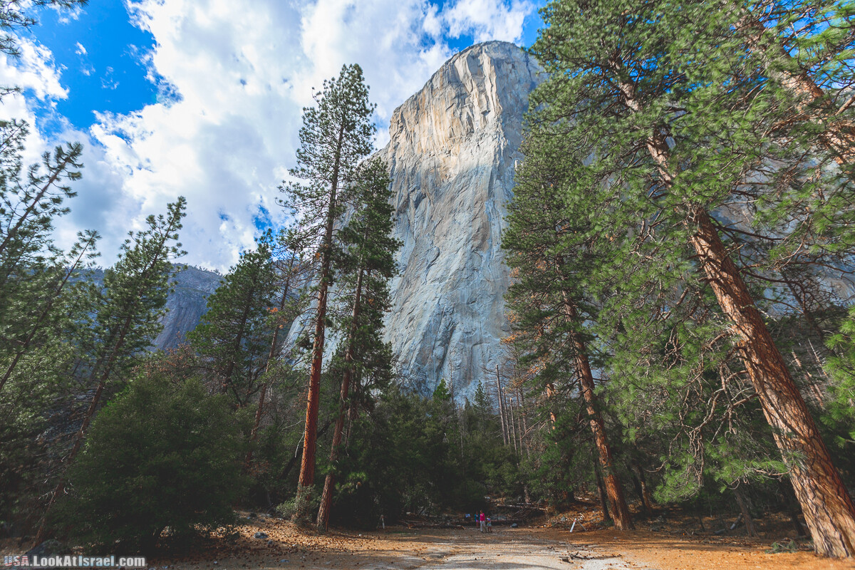 Национальный парк Йосемите | Yosemite National Park | LookAtIsrael.com - Фото путешествия по Израилю