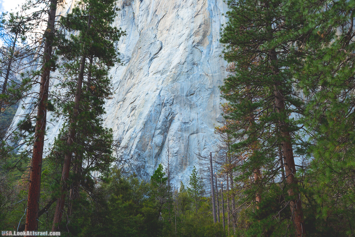 Национальный парк Йосемите | Yosemite National Park | LookAtIsrael.com - Фото путешествия по Израилю