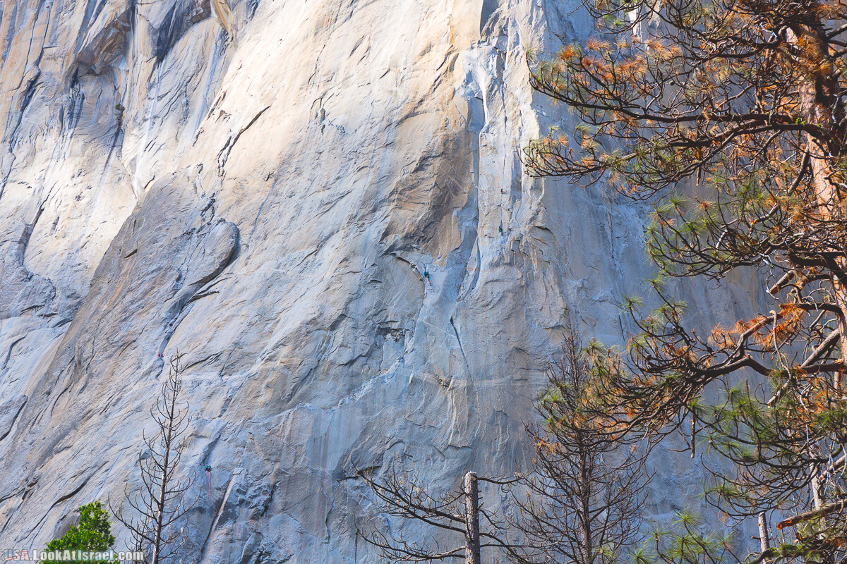 Национальный парк Йосемите | Yosemite National Park | LookAtIsrael.com - Фото путешествия по Израилю