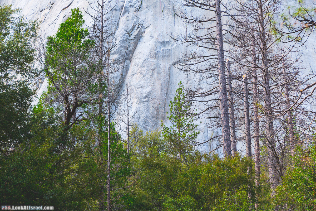 Национальный парк Йосемите | Yosemite National Park | LookAtIsrael.com - Фото путешествия по Израилю
