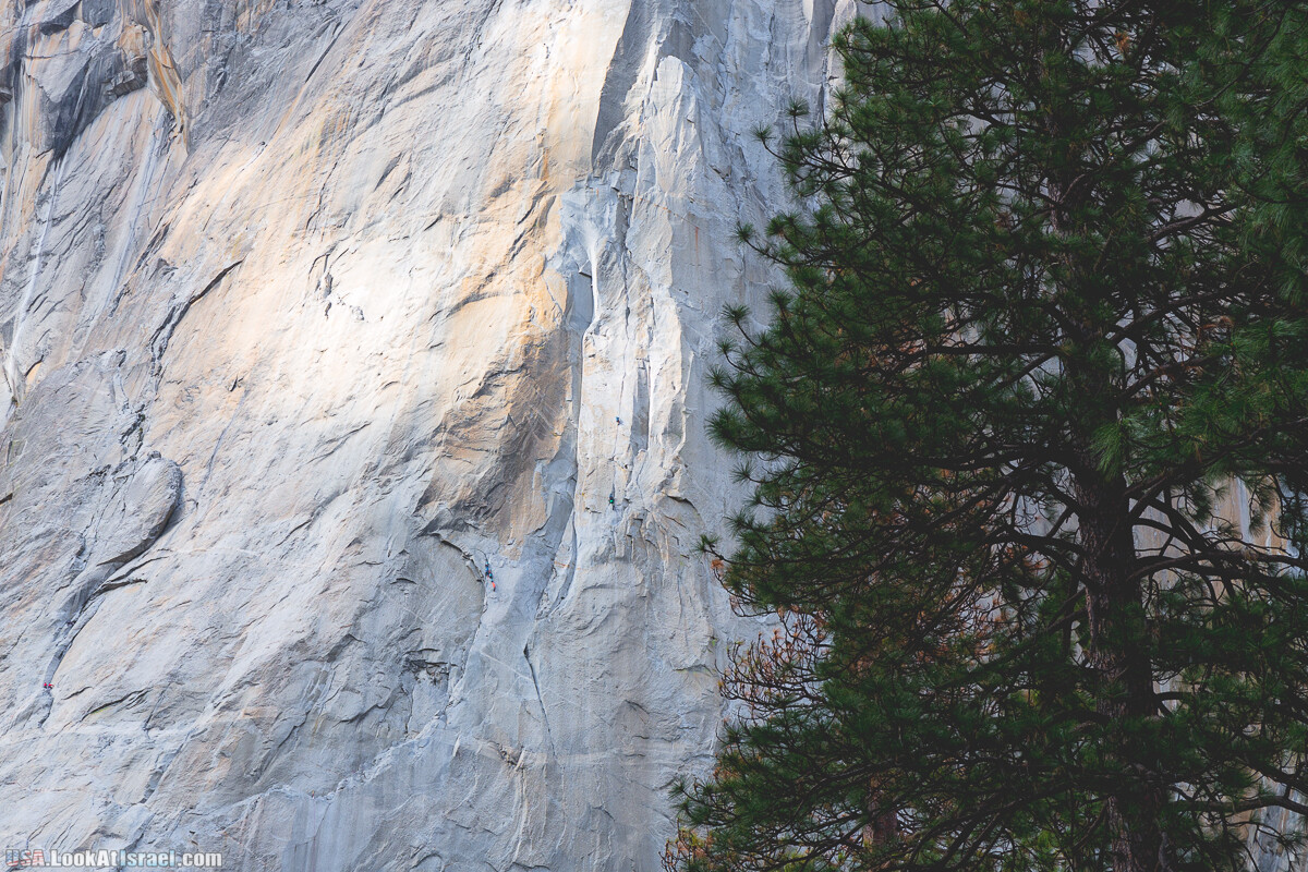 Национальный парк Йосемите | Yosemite National Park | LookAtIsrael.com - Фото путешествия по Израилю