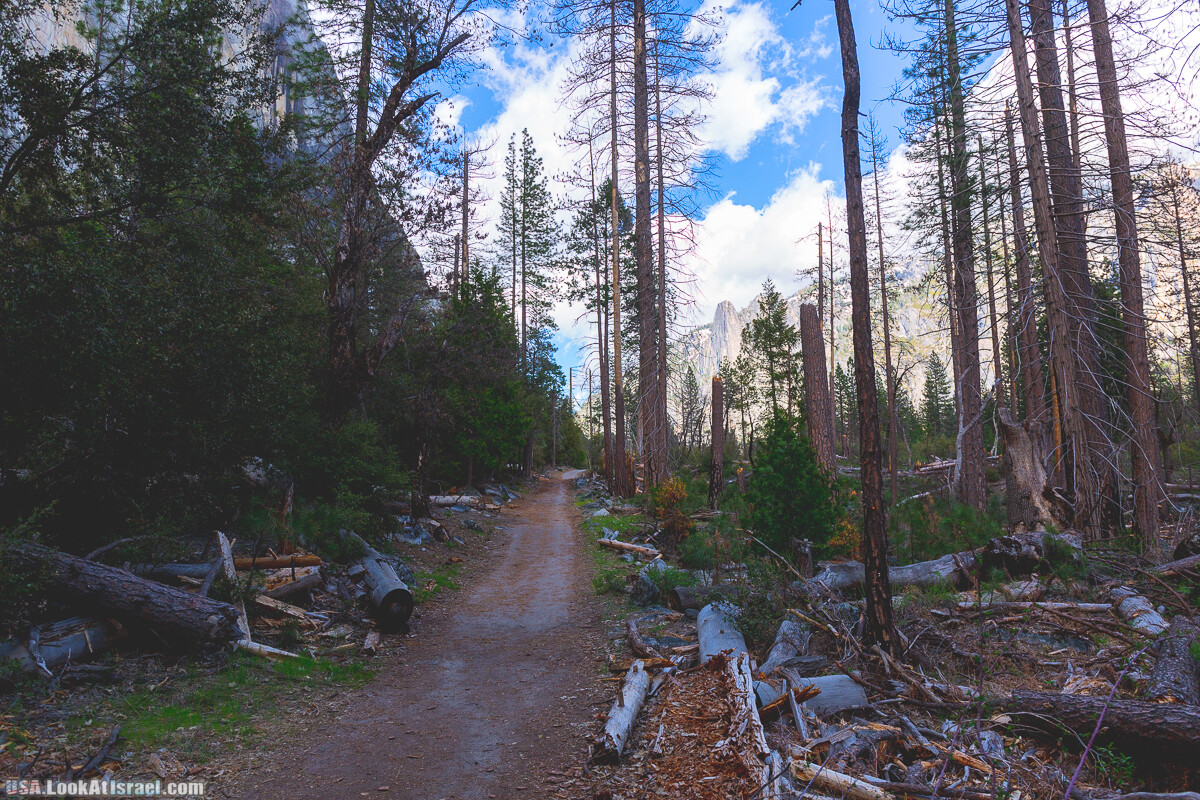 Национальный парк Йосемите | Yosemite National Park | LookAtIsrael.com - Фото путешествия по Израилю