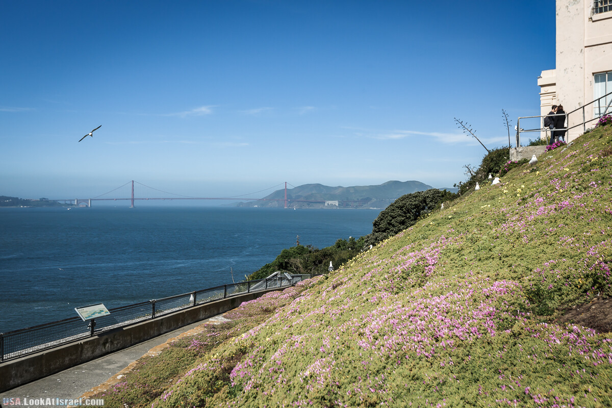 Тур в Алькатрас | Alcatraz | LookAtIsrael.com - Фото путешествия по Израилю