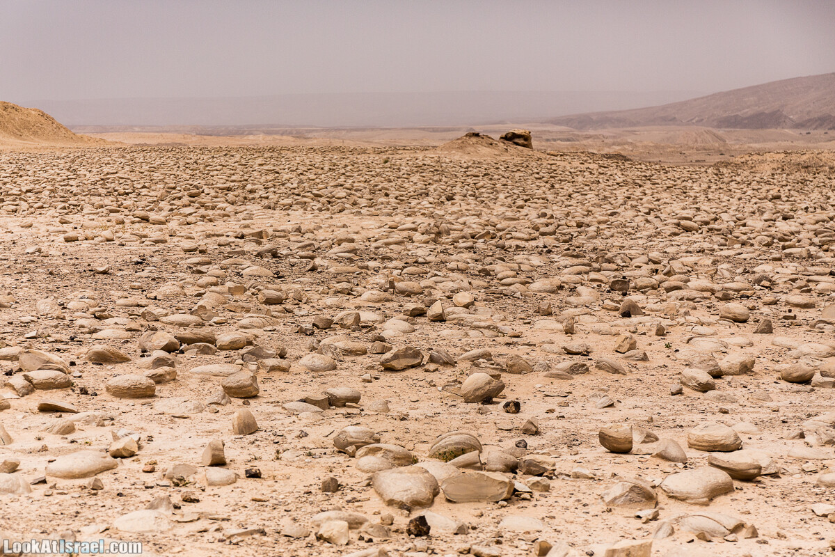 Два дня в пустыне на джипах | LookAtIsrael.com - Фото путешествия по Израилю