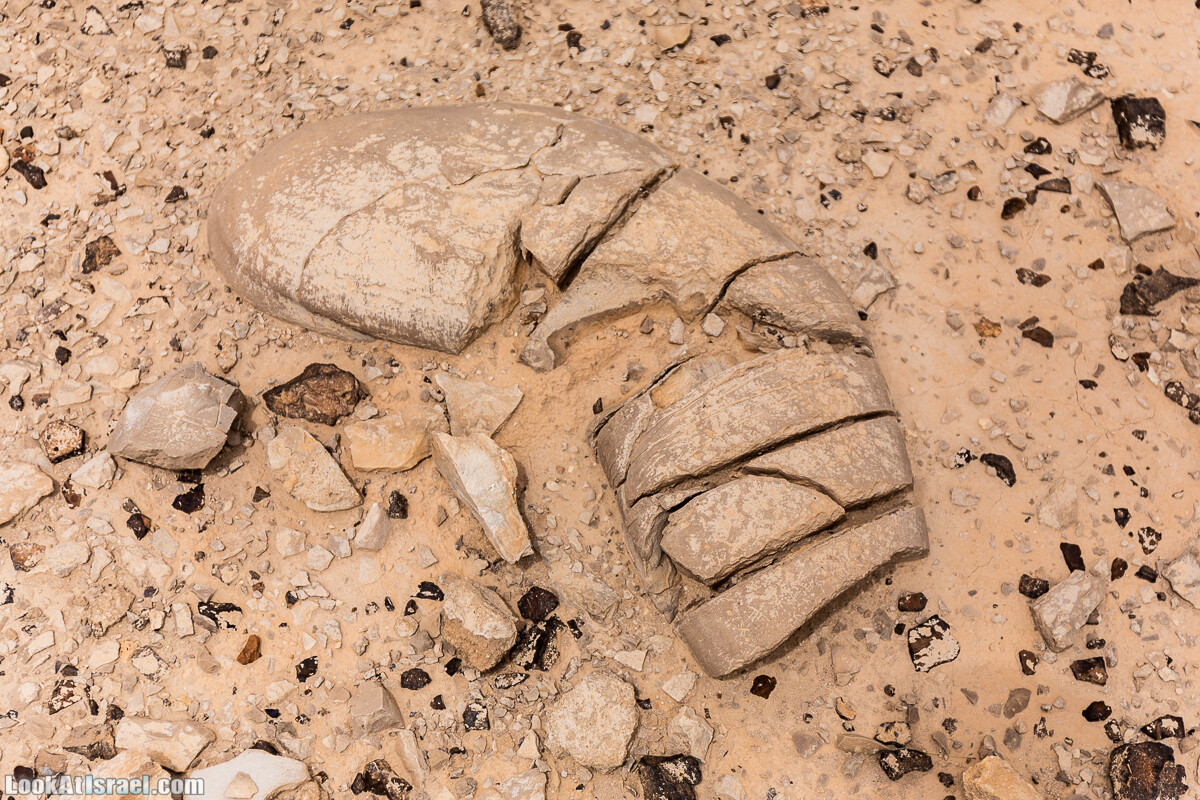 Два дня в пустыне на джипах | LookAtIsrael.com - Фото путешествия по Израилю