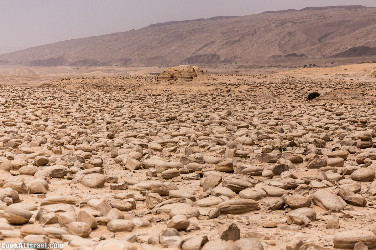 Два дня в пустыне на джипах | LookAtIsrael.com - Фото путешествия по Израилю