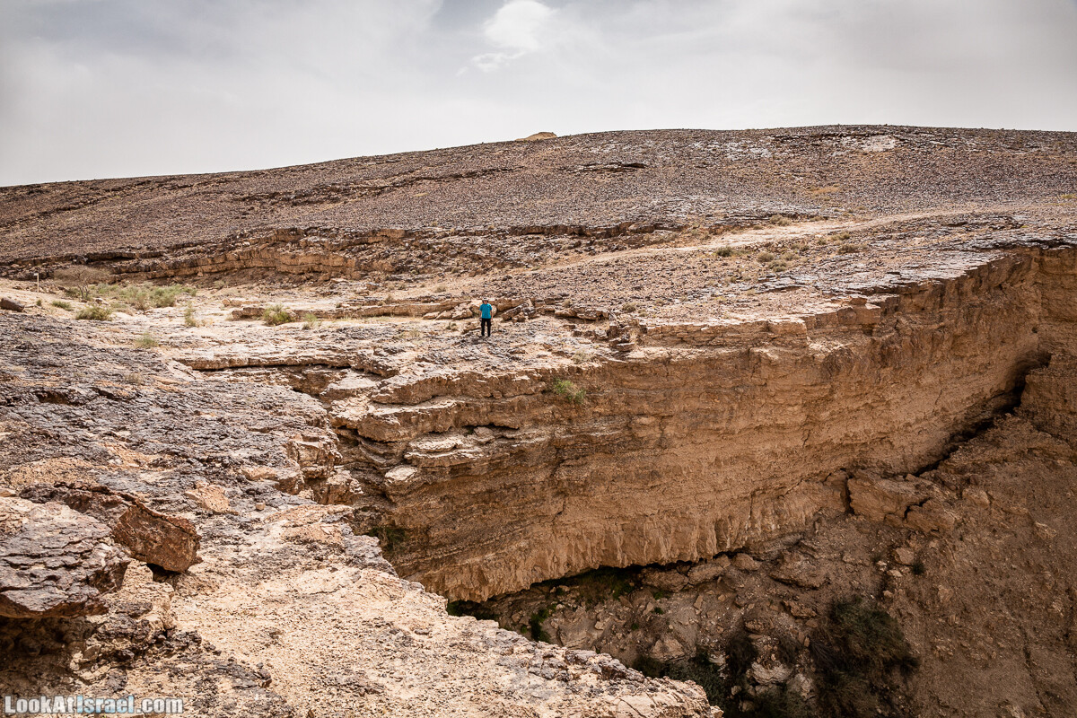 Два дня в пустыне на джипах | LookAtIsrael.com - Фото путешествия по Израилю