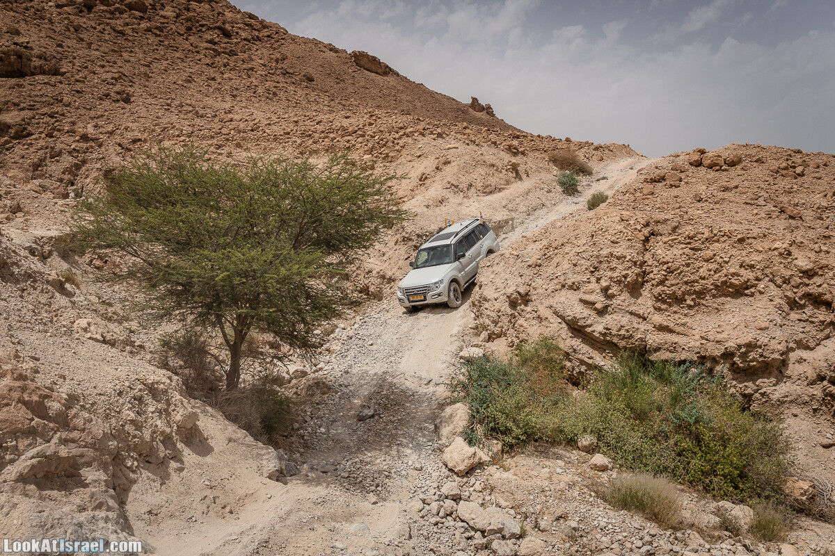 Два дня в пустыне на джипах | LookAtIsrael.com - Фото путешествия по Израилю