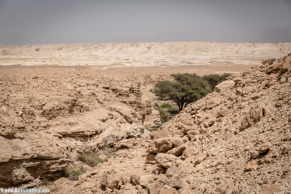 Два дня в пустыне на джипах | LookAtIsrael.com - Фото путешествия по Израилю