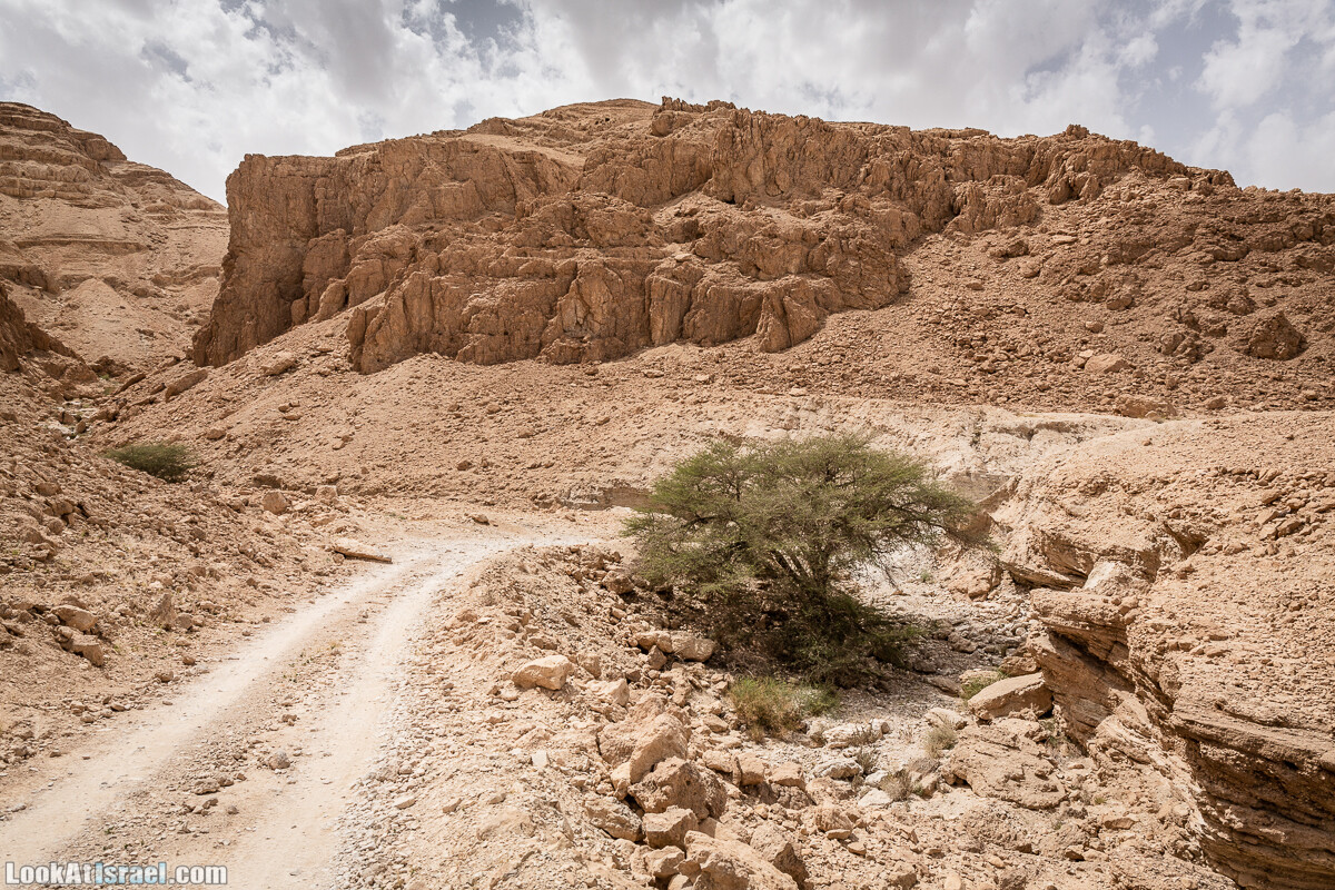 Два дня в пустыне на джипах | LookAtIsrael.com - Фото путешествия по Израилю