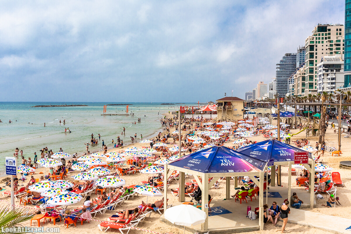 Евровидение 2019 в Тель-Авиве | Eurovision 2019 Tel-Aviv | LookAtIsrael.com - Фото путешествия по Израилю