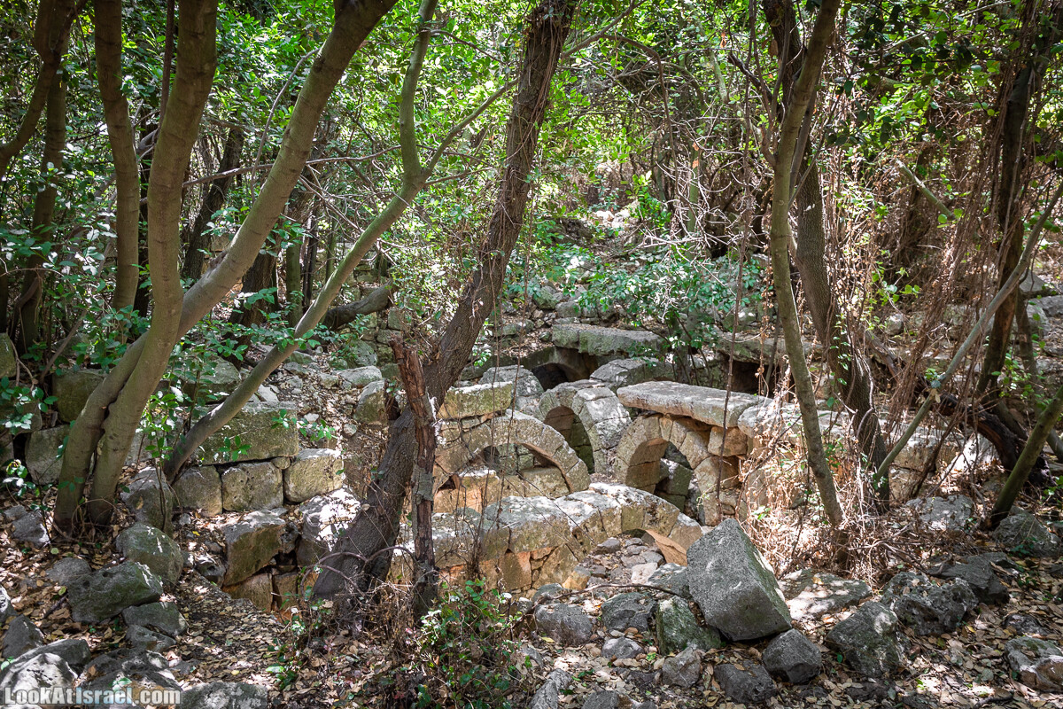 READY | Хурват Цунам - затерянный город на просторах Галилеи