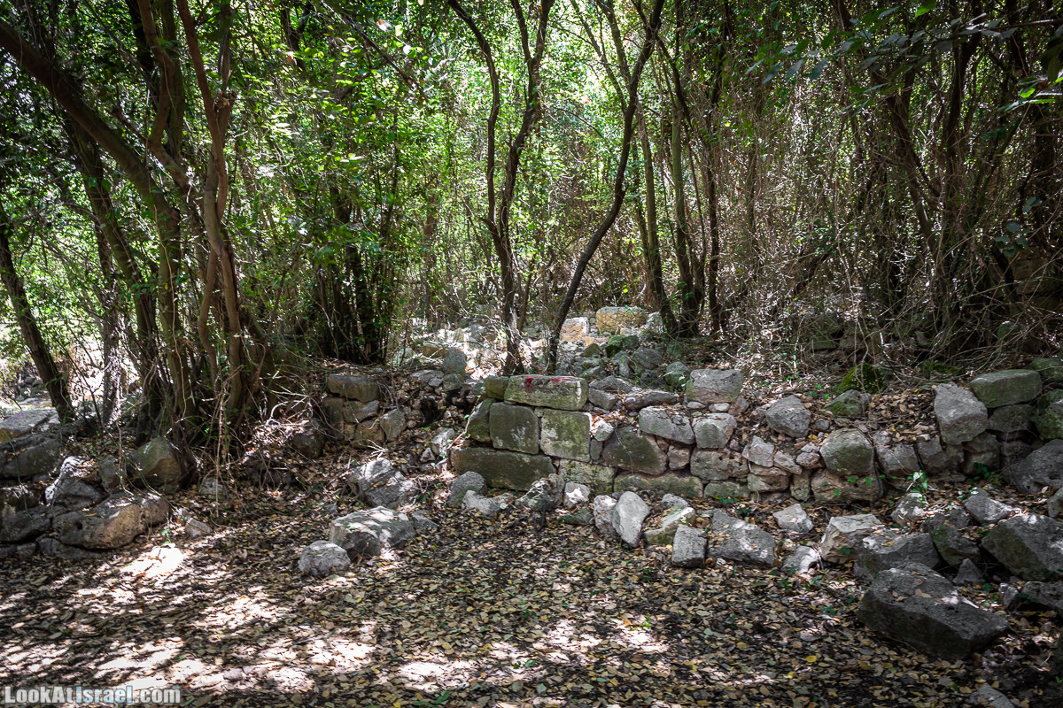 Хурват Цунам - Затерянный город в Галилее | חורבת צונם עיר אבודה בגליל | LookAtIsrael.com - Фото путешествия по Израилю