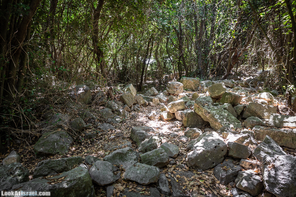 Хурват Цунам - Затерянный город в Галилее | חורבת צונם עיר אבודה בגליל | LookAtIsrael.com - Фото путешествия по Израилю