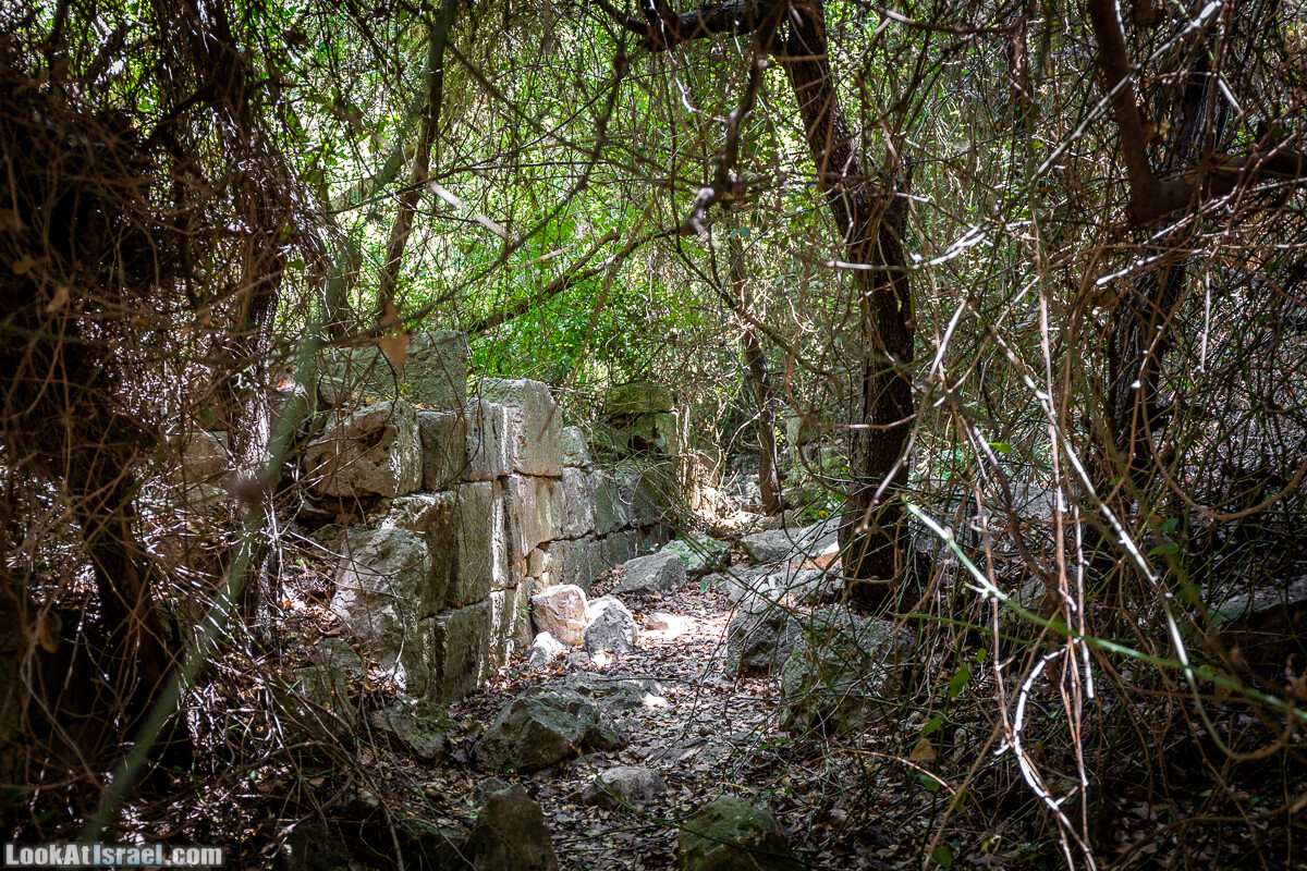 Хурват Цунам - Затерянный город в Галилее | חורבת צונם עיר אבודה בגליל | LookAtIsrael.com - Фото путешествия по Израилю
