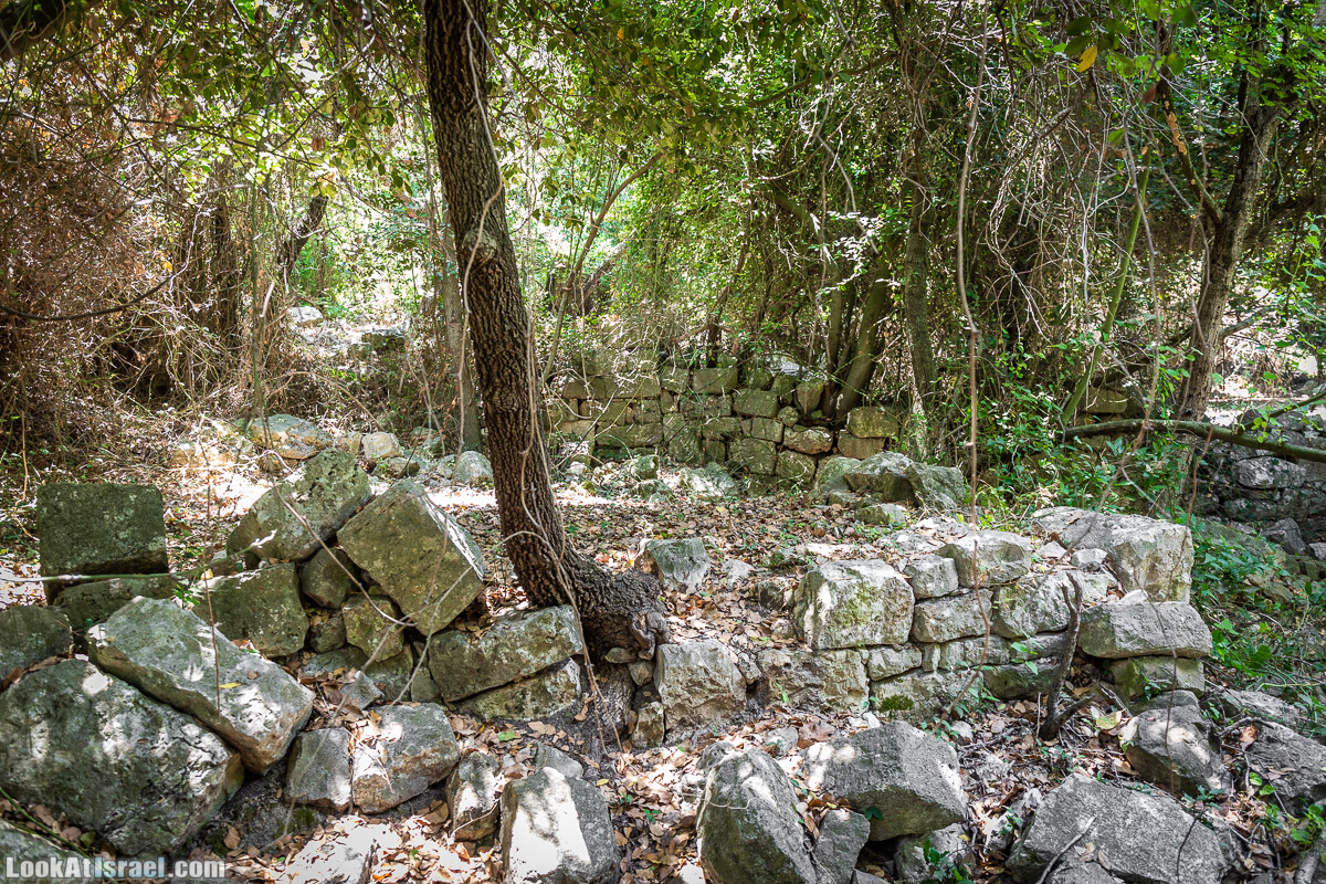 Хурват Цунам - Затерянный город в Галилее | חורבת צונם עיר אבודה בגליל | LookAtIsrael.com - Фото путешествия по Израилю