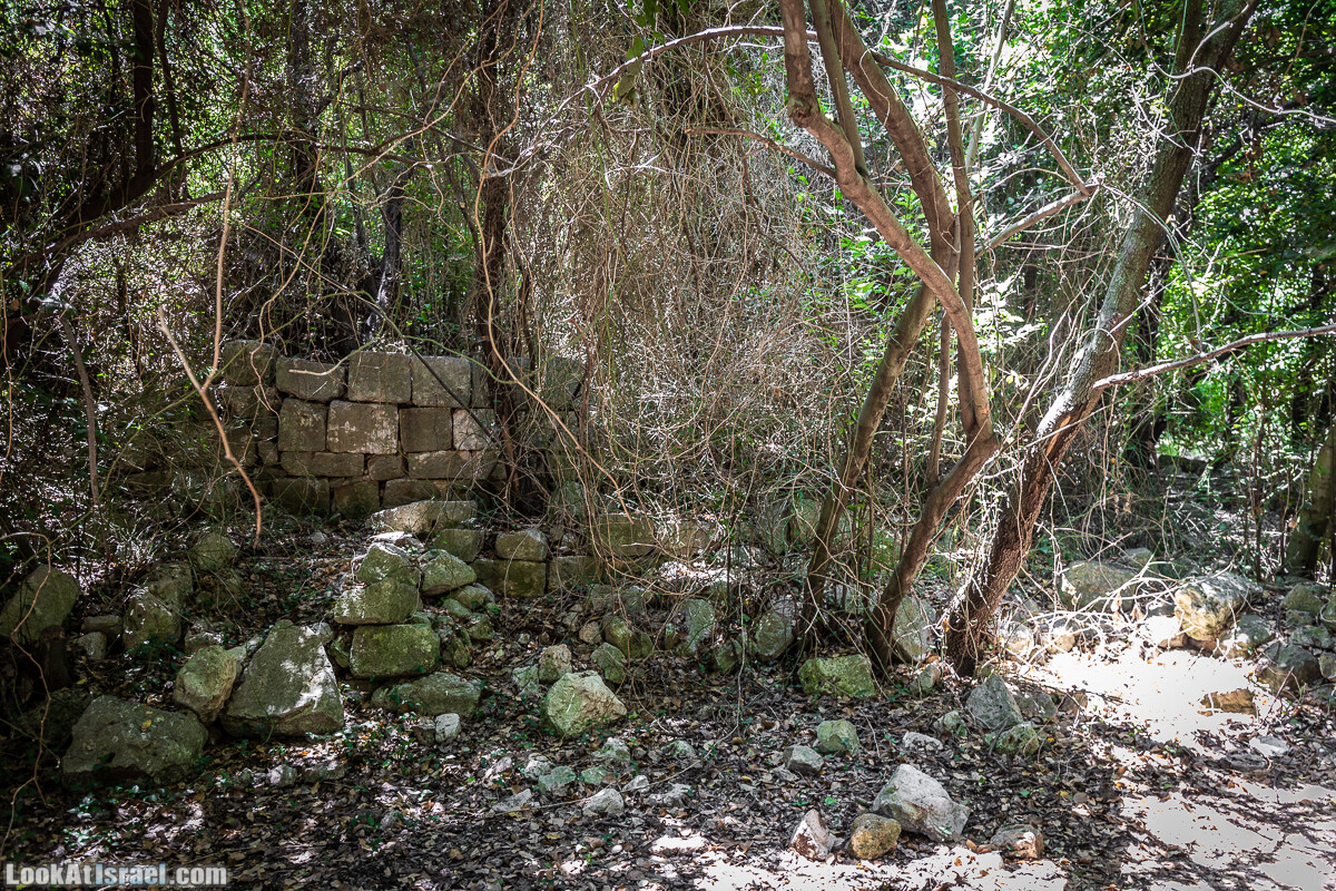 Хурват Цунам - Затерянный город в Галилее | חורבת צונם עיר אבודה בגליל | LookAtIsrael.com - Фото путешествия по Израилю