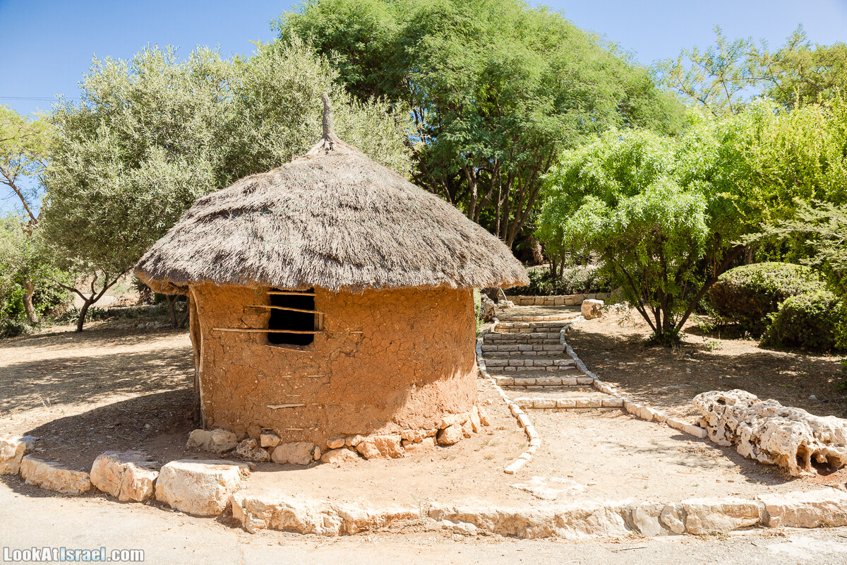  Ботанический сад Иерусалима, лето | קיץ בגן הבוטני ירושלים | LookAtIsrael.com - Фото путешествия по Израилю