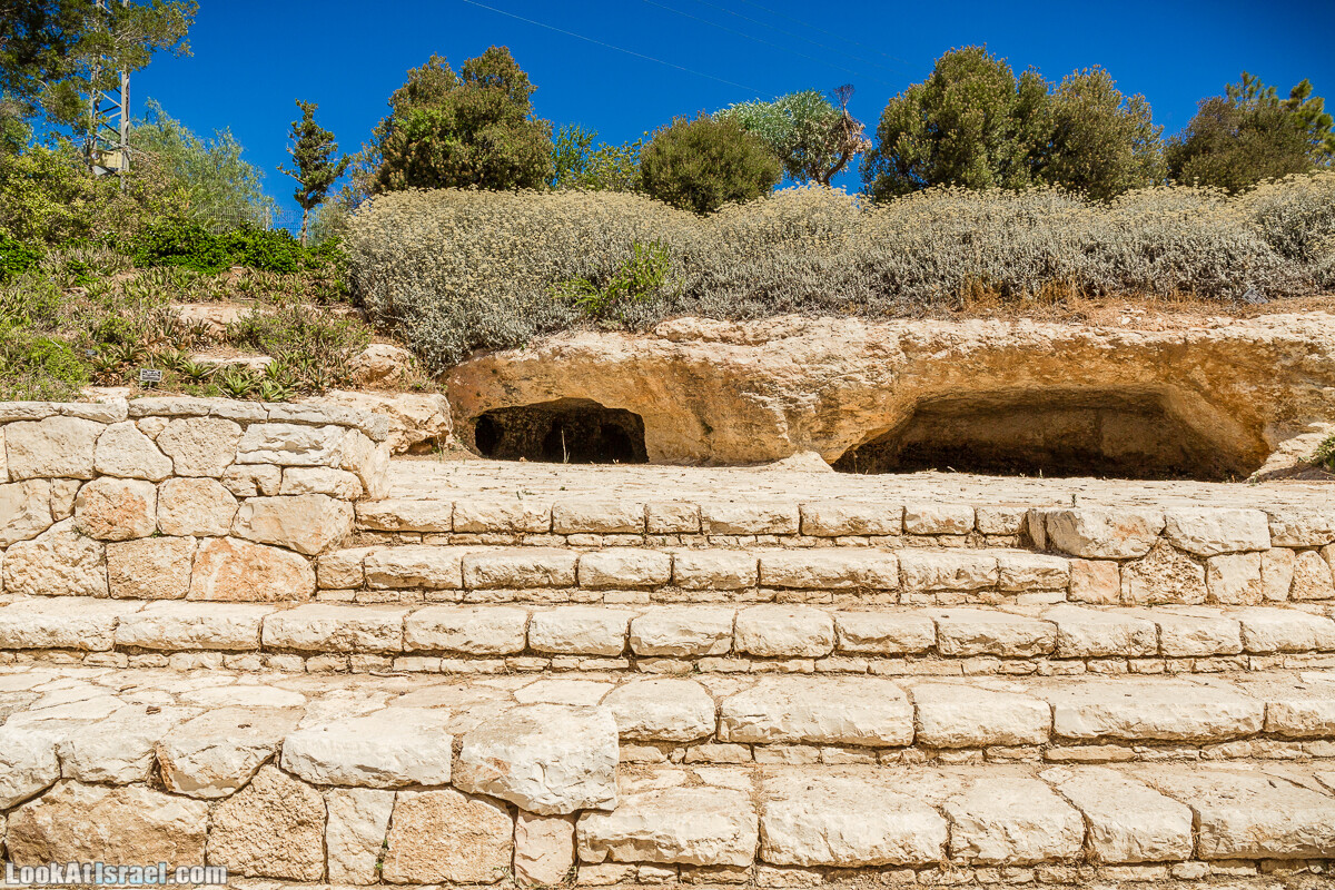  Ботанический сад Иерусалима, лето | קיץ בגן הבוטני ירושלים | LookAtIsrael.com - Фото путешествия по Израилю