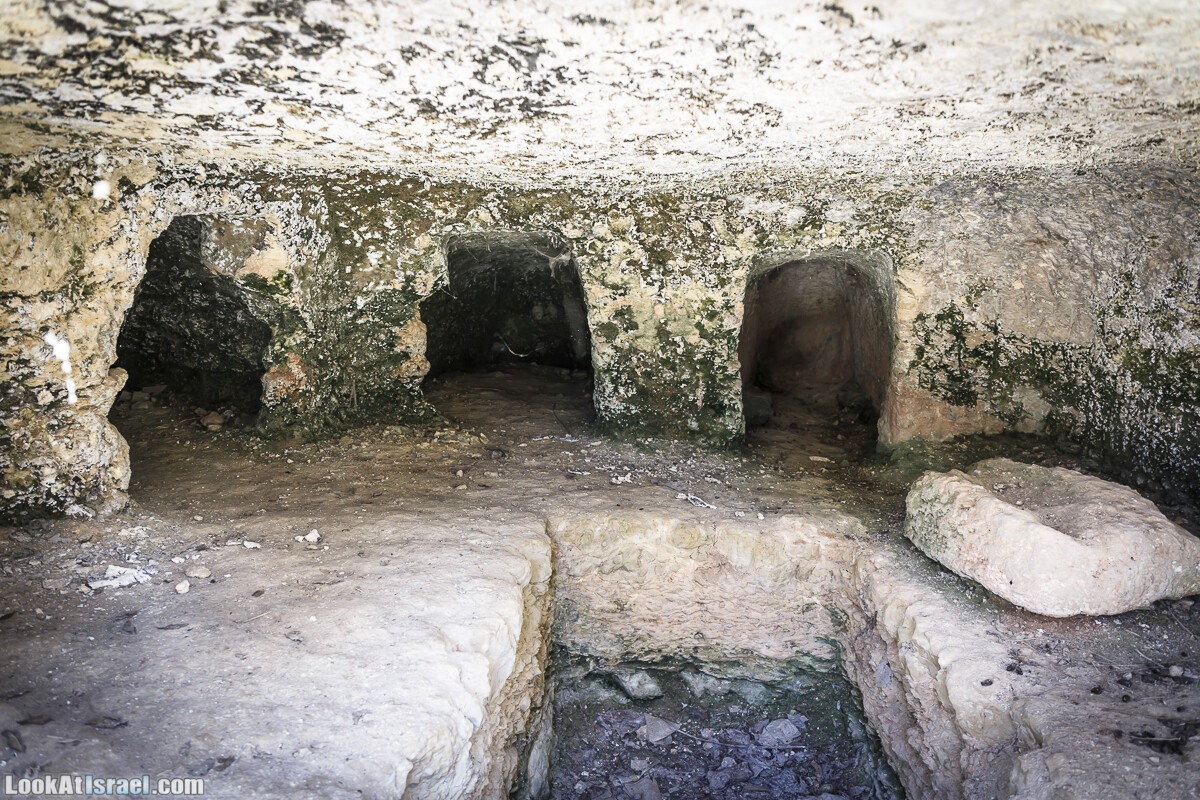  Ботанический сад Иерусалима, лето | קיץ בגן הבוטני ירושלים | LookAtIsrael.com - Фото путешествия по Израилю