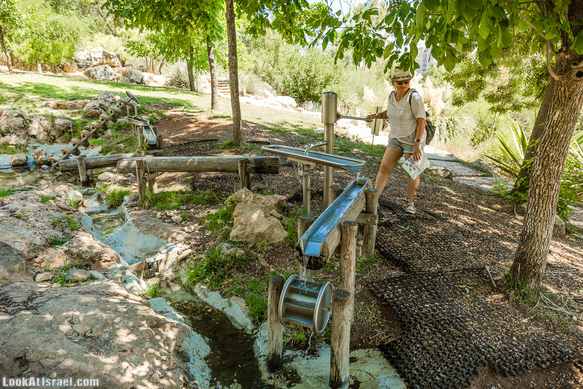  Ботанический сад Иерусалима, лето | קיץ בגן הבוטני ירושלים | LookAtIsrael.com - Фото путешествия по Израилю