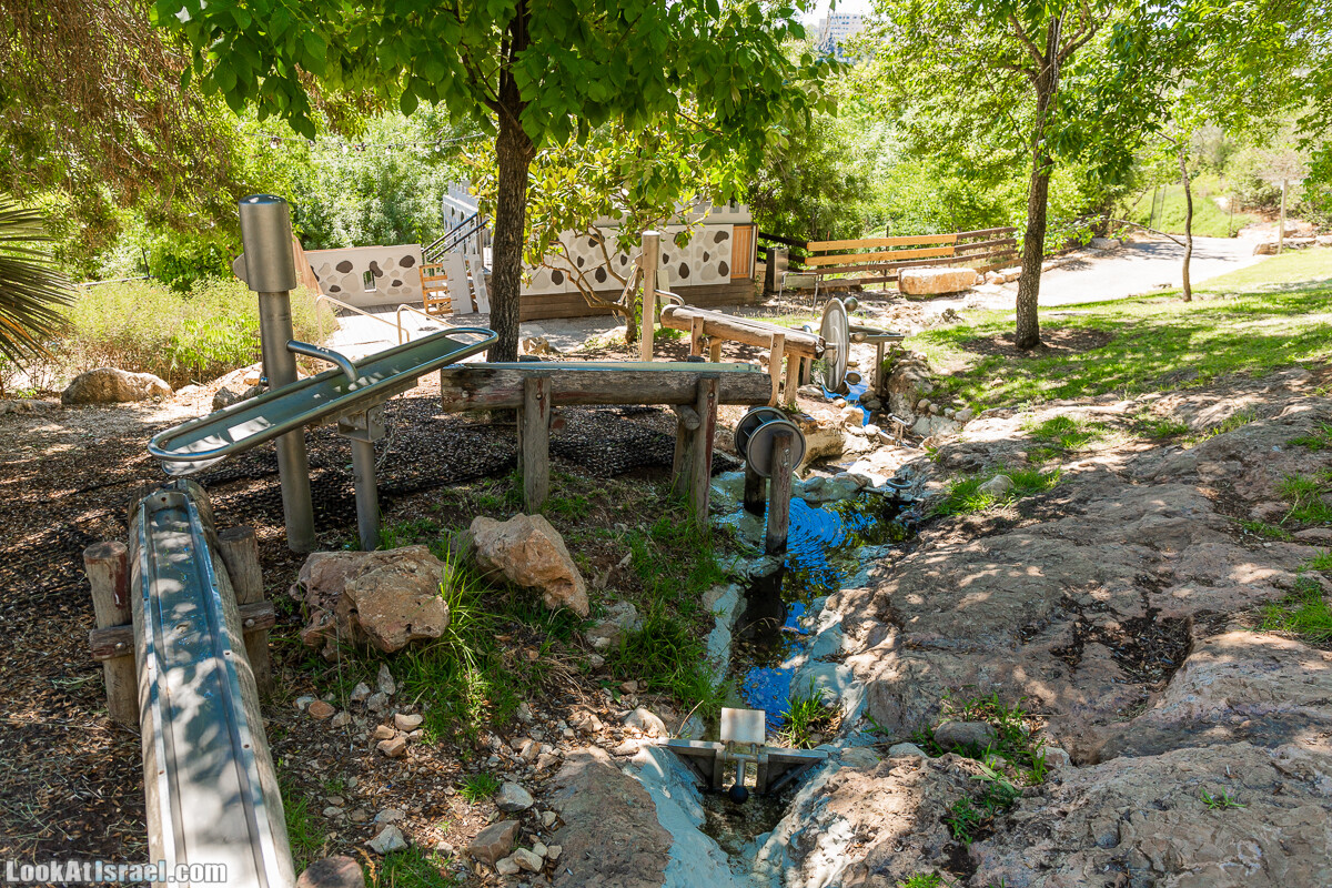  Ботанический сад Иерусалима, лето | קיץ בגן הבוטני ירושלים | LookAtIsrael.com - Фото путешествия по Израилю
