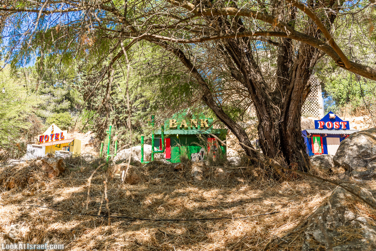  Ботанический сад Иерусалима, лето | קיץ בגן הבוטני ירושלים | LookAtIsrael.com - Фото путешествия по Израилю