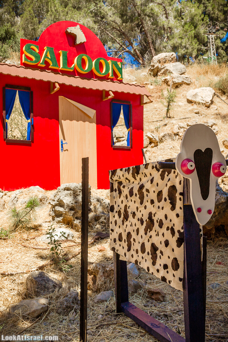  Ботанический сад Иерусалима, лето | קיץ בגן הבוטני ירושלים | LookAtIsrael.com - Фото путешествия по Израилю