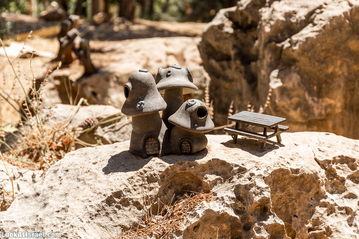  Ботанический сад Иерусалима, лето | קיץ בגן הבוטני ירושלים | LookAtIsrael.com - Фото путешествия по Израилю