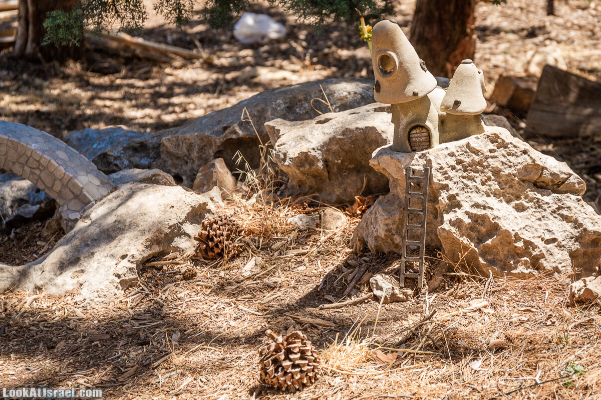  Ботанический сад Иерусалима, лето | קיץ בגן הבוטני ירושלים | LookAtIsrael.com - Фото путешествия по Израилю