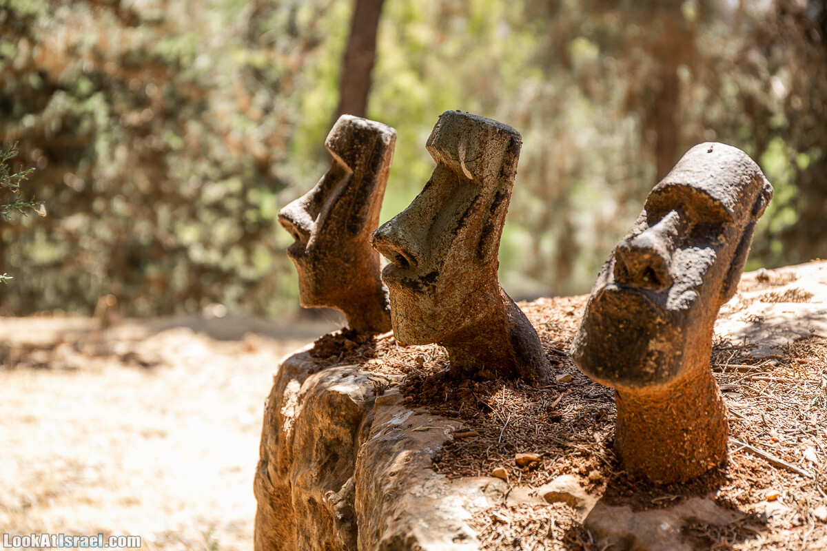  Ботанический сад Иерусалима, лето | קיץ בגן הבוטני ירושלים | LookAtIsrael.com - Фото путешествия по Израилю