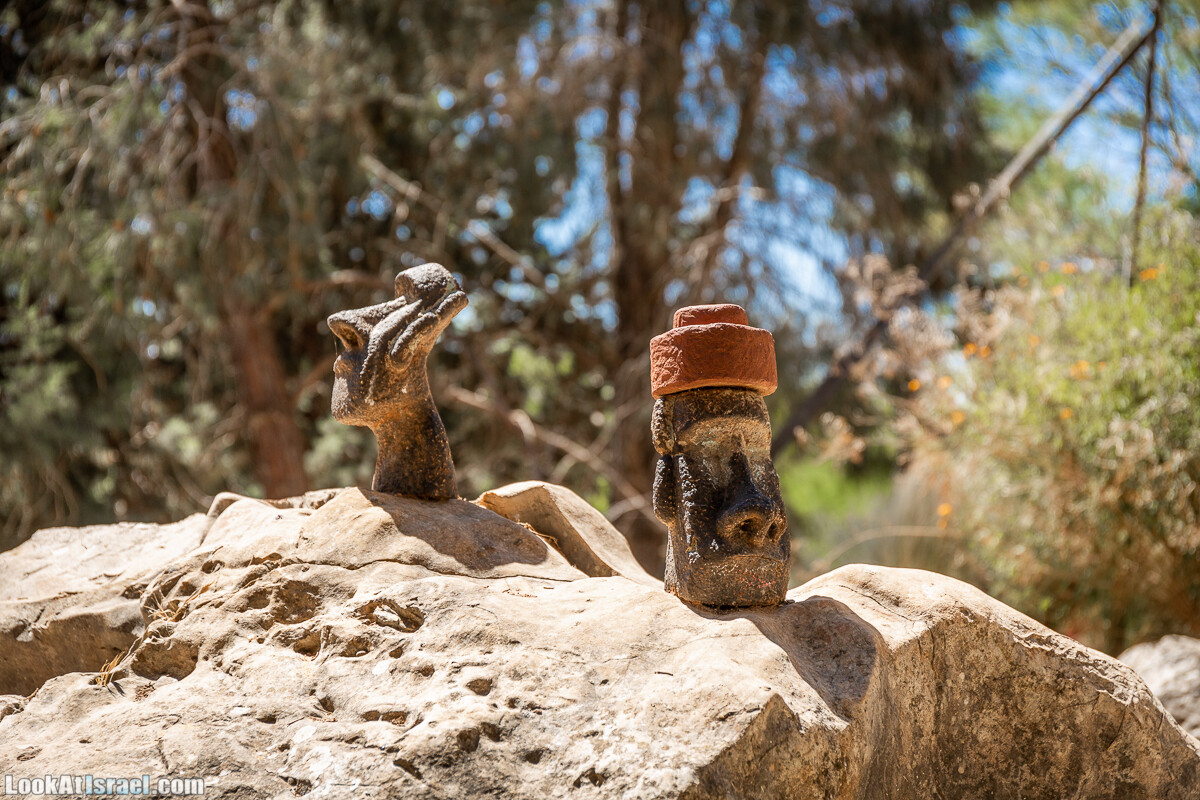  Ботанический сад Иерусалима, лето | קיץ בגן הבוטני ירושלים | LookAtIsrael.com - Фото путешествия по Израилю