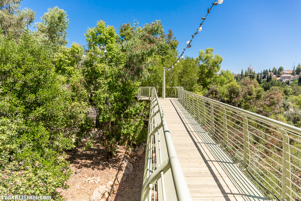  Ботанический сад Иерусалима, лето | קיץ בגן הבוטני ירושלים | LookAtIsrael.com - Фото путешествия по Израилю