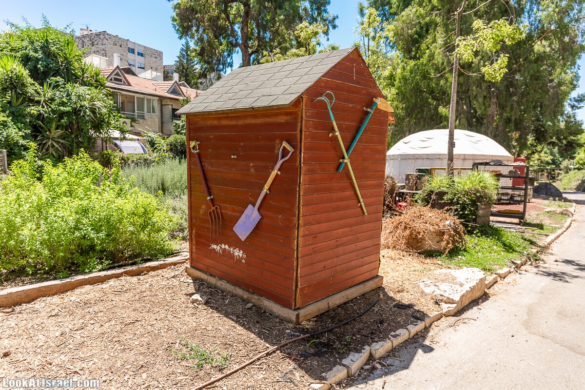  Ботанический сад Иерусалима, лето | קיץ בגן הבוטני ירושלים | LookAtIsrael.com - Фото путешествия по Израилю