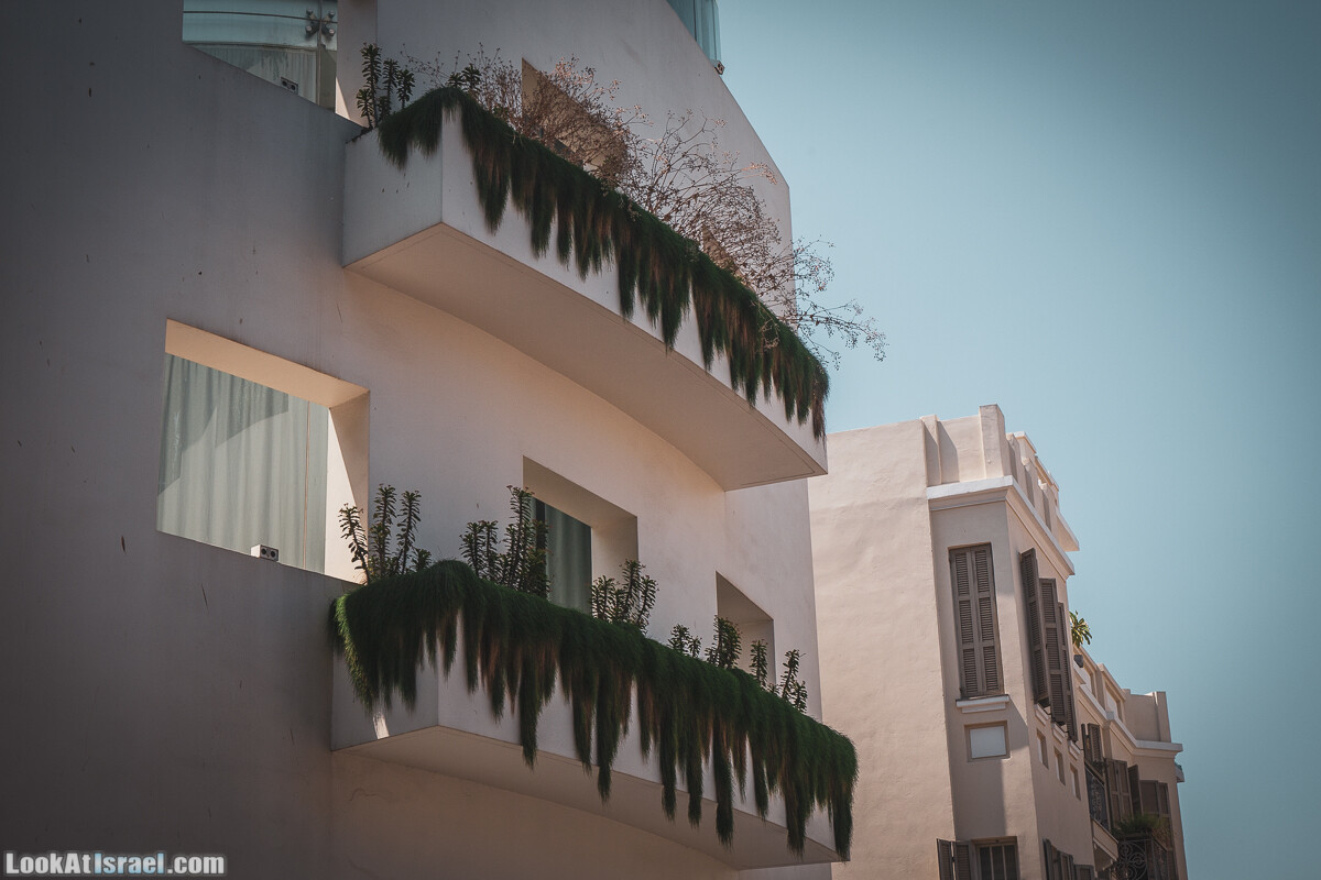 История ЛГБТ движения в Тель Авиве | LookAtIsrael.com - Фото путешествия по Израилю