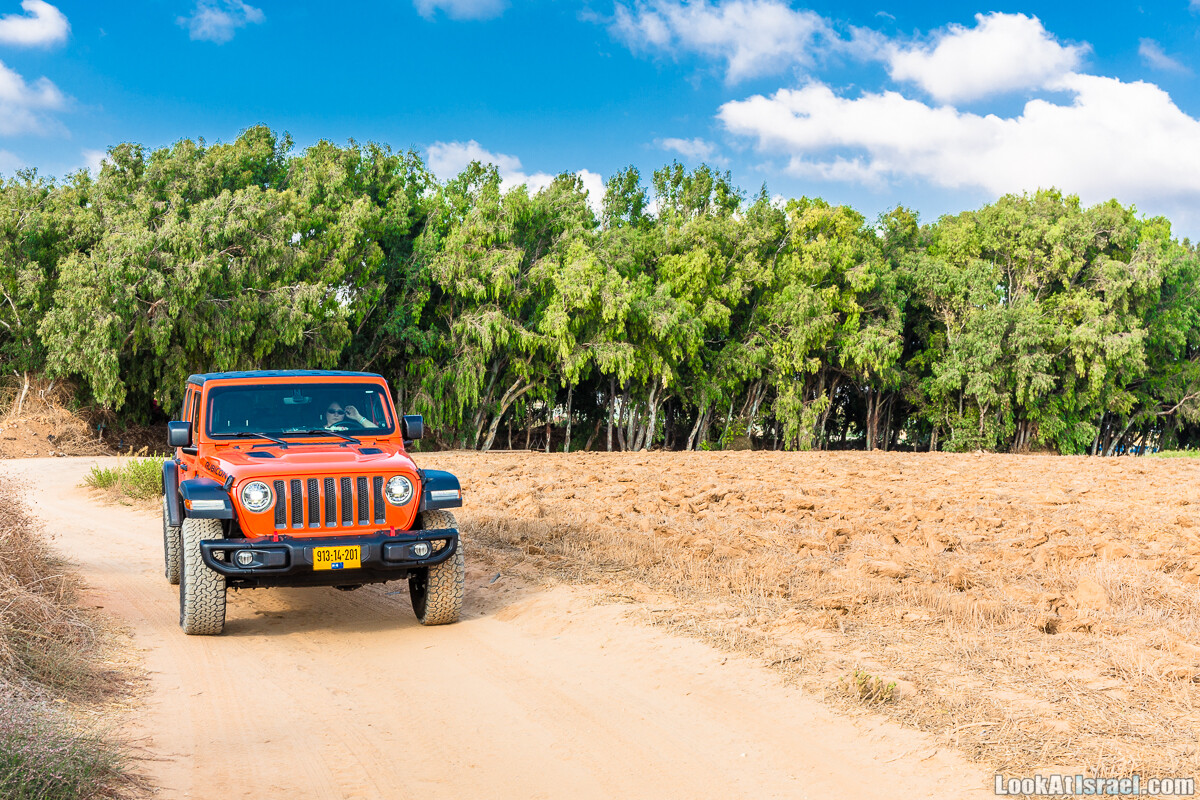 Jeep Wrangler Rubocin JL в Израиле | LookAtIsrael.com - Фото путешествия по Израилю