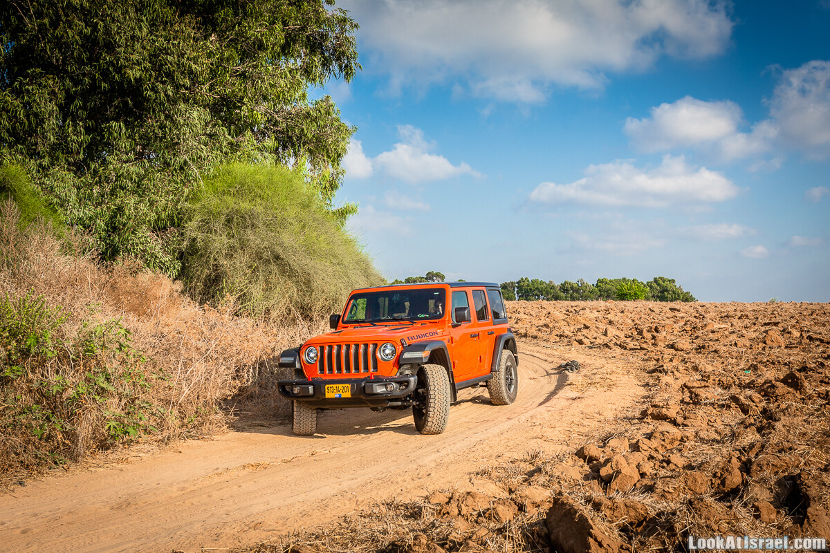 Jeep Wrangler Rubocin JL в Израиле | LookAtIsrael.com - Фото путешествия по Израилю