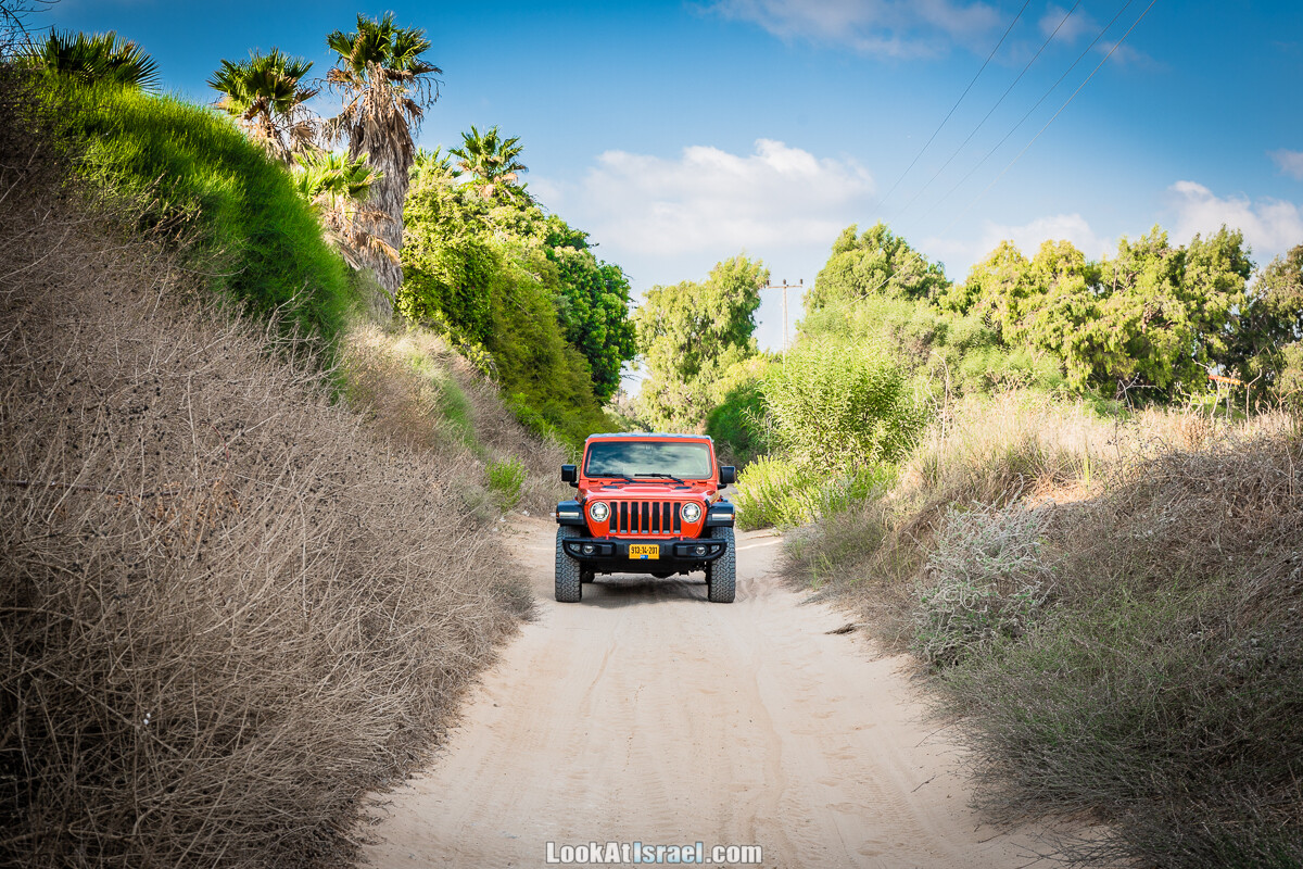 Jeep Wrangler Rubocin JL в Израиле | LookAtIsrael.com - Фото путешествия по Израилю