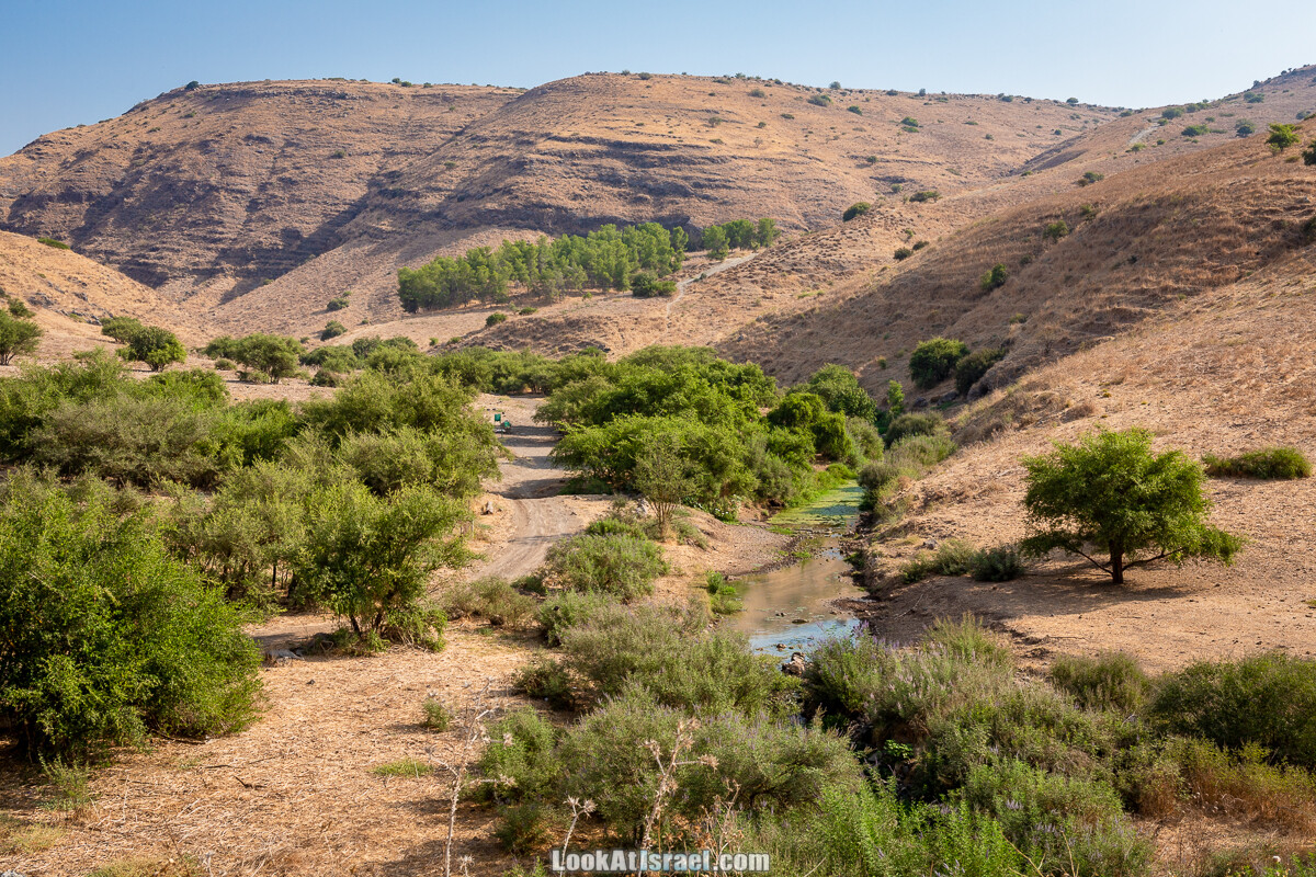 Белые водопады пустыни | המפלים הלבנים | LookAtIsrael.com - Фото путешествия по Израилю