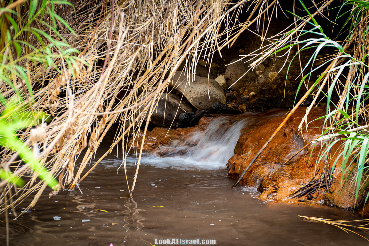 Белые водопады пустыни | המפלים הלבנים | LookAtIsrael.com - Фото путешествия по Израилю