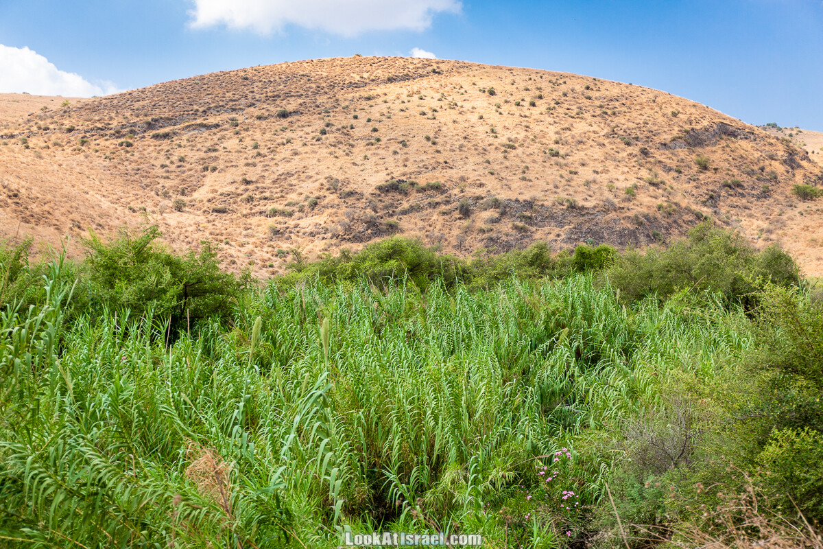 Белые водопады пустыни | המפלים הלבנים | LookAtIsrael.com - Фото путешествия по Израилю