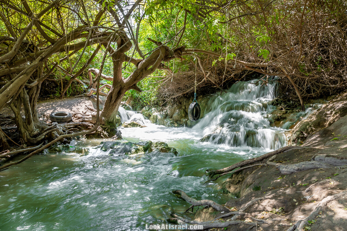 Белые водопады пустыни | המפלים הלבנים | LookAtIsrael.com - Фото путешествия по Израилю