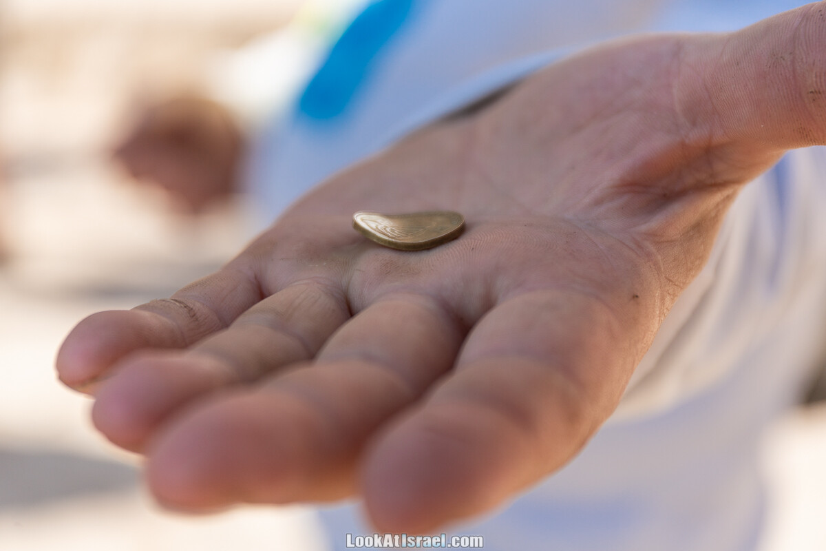 Ури Геллер - повелитель ложек и монет | LookAtIsrael.com - Фото путешествия по Израилю