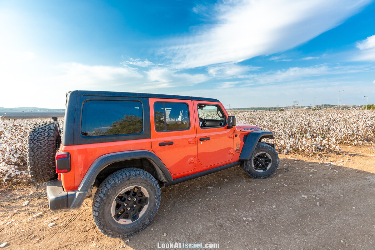 Поля хлопка в районе Латруна | LookAtIsrael.com - Фото путешествия по Израилю