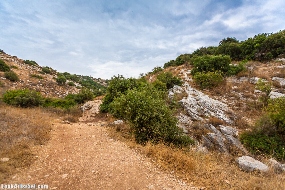 Маршрут по ущельям Метра и Долев. Пещера Теумим (Близнецов ) | Nahal Meara and Dolev, Teumim Cave | נחל מערה ונחל דולב. מערת התאומים | LookAtIsrael.com - Фото путешествия по Израилю
