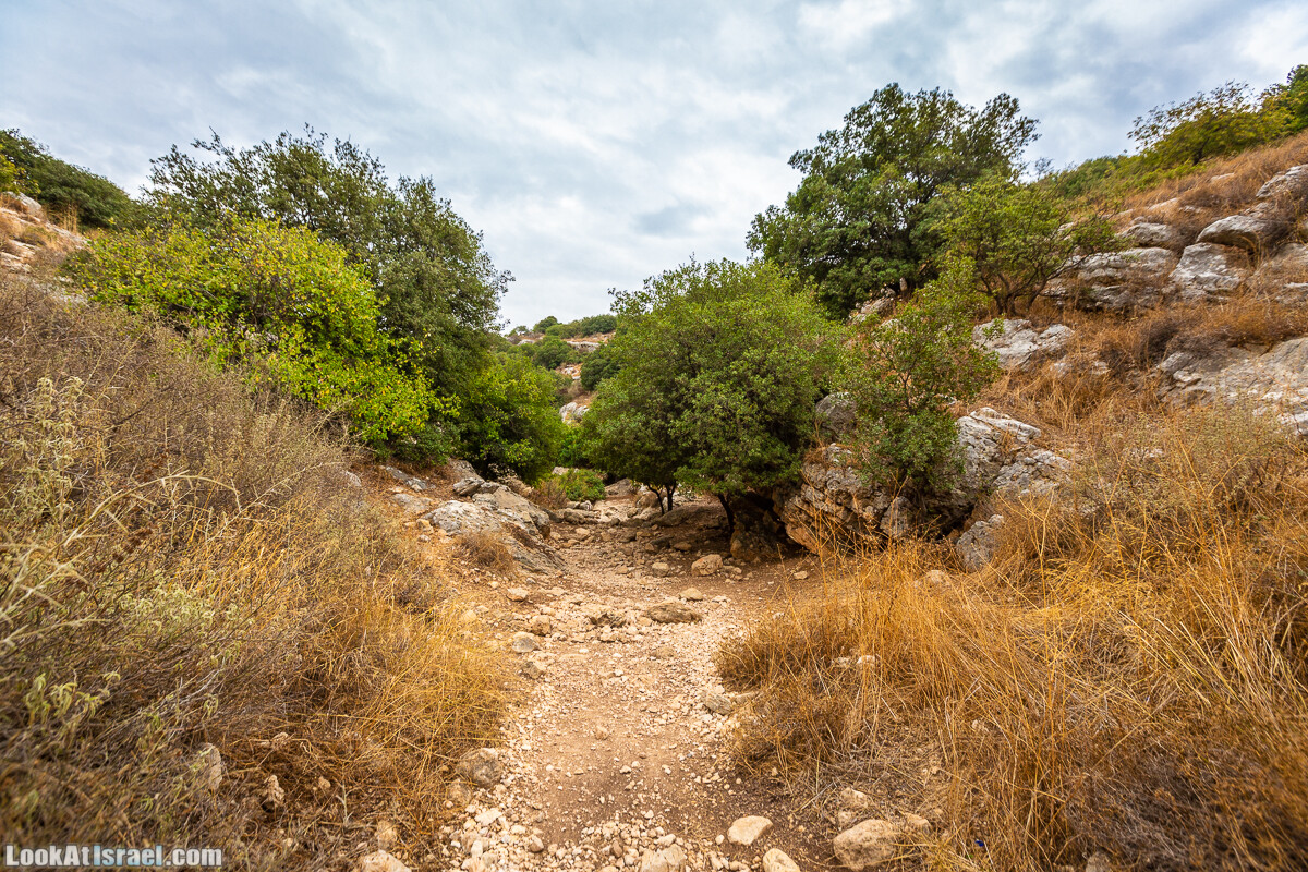 Маршрут по ущельям Метра и Долев. Пещера Теумим (Близнецов ) | Nahal Meara and Dolev, Teumim Cave | נחל מערה ונחל דולב. מערת התאומים | LookAtIsrael.com - Фото путешествия по Израилю