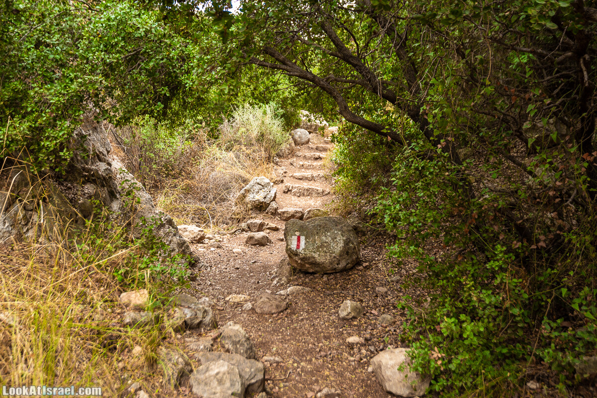 Маршрут по ущельям Метра и Долев. Пещера Теумим (Близнецов ) | Nahal Meara and Dolev, Teumim Cave | נחל מערה ונחל דולב. מערת התאומים | LookAtIsrael.com - Фото путешествия по Израилю